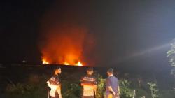 Karhutla di Kalsel, 33 Titik Api Terdeteksi dengan Luas 5,3 Hektare<