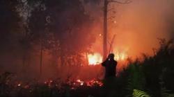 5 Karhutla Terjadi hingga Malam, Kota Palangka Raya Kembali Diselimuti Asap<