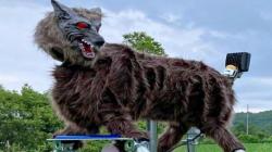 Lindungi Warga dari Beruang, Jepang Kerahkan Robot Serigala