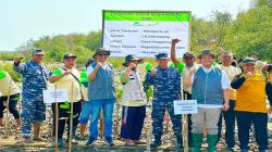 Garis Pantai Terancam Erosi, Pegadaian Tanam 10.000 Pohon Mangrove di Cirebon<