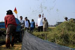 Presiden Jokowi bersama Plt Mentan Tinjau Panen Padi di Subang<
