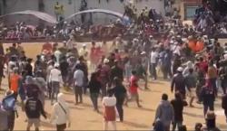 Kerapan Sapi Piala Presiden di Bangkalan Ricuh, 3 Orang Luka akibat Sabetan Celurit <