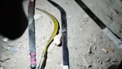 Tawuran di Flyover Cipendawa Bekasi, Polisi Temukan Sajam hingga Motor yang Ditinggalkan