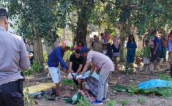 Bakar Lahannya Sendiri, Warga Kendari Malah Tewas akibat Terjebak Api<