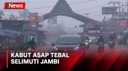 Kabut Asap Tebal Selimuti Jambi, Jarak Pandang Warga Terbatas