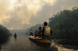Kebakaran Laboratorium Alam Hutan Gambut Cimtrop Palangkaraya
