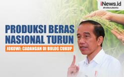 Infografis Produksi Beras Nasional Turun