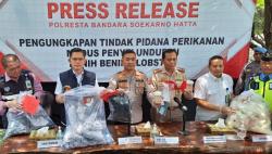 Coba Selundupkan Benih Lobster Senilai Rp11,8 Miliar ke Singapura, 2 Orang Ditangkap