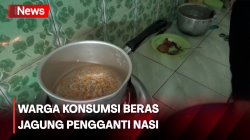 Beras Mahal, Emak-Emak di Jombang Pilih Beras Jagung Sebagai Pengganti Nasi 