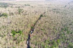 Hamparan Hutan Jati Taman Nasional Baluran Seluas 5.000 Hektare