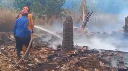 Kandang Ayam di Tonjong Majalengka Terbakar, Warga Panik TKP Dekat Permukiman<