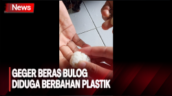  Beredar Beras Diduga Berbahan Platik di Medan, Bulog Angkat Bicara