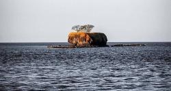 5 Surga Tersembunyi Kota Bima, Merinding Ada Pulau Eksotis hanya Dihuni Ular Belang