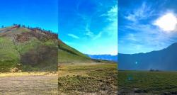 Savana Gunung Bromo Kembali Menghijau usai Kebakaran, seperti Ini Keindahannya!