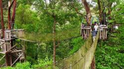 8 Destinasi Wisata Alam Dekat IKN Nusantara, Ada Hutan Mangrove hingga Goa Tapak Raja