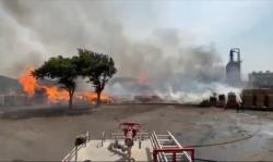 Pabrik Pengolahan Kayu PT Nankai di Gresik Terbakar Hebat, 2 Karyawan Terluka 