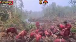 Viral Momen Haru Tim Manggala Agni Sujud Syukur Hujan Turun saat Padamkan Api di OKI<