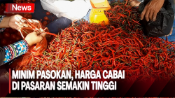 Minim Pasokan, Harga Cabai di Pasaran Semakin Tinggi