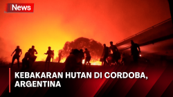 Kebakaran Hutan di Cordoba, Argentina Menyebabkan Lusinan Warga Mengungsi