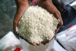 Pengamat Ungkap Penyebab Stok Beras Langka hingga Harga Melonjak   