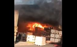 Pabrik Pengolahan Kayu Sengfong di Jombang Terbakar Hebat, Api Sulit Dipadamkan 