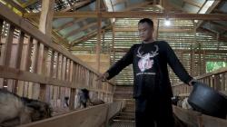  Kisah Polisi di Pemalang Ternak Kambing Perah, Hasil Produksinya Diburu Pabrik Ternama<