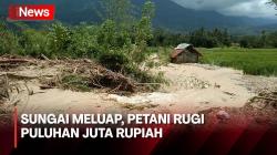 Akibat Luapan Sungai, Petani di Pasaman Rugi Puluhan Juta Rupiah