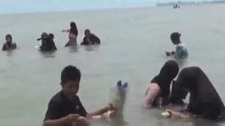 Air Laut Surut, Nelayan Kumai Kobar Ramai-ramai Berburu Kerang<
