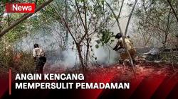 27 Hektare Hutan Lindung Egon Ilin Medo di Sikka Hangus Terbakar, Petugas Kesulitan Padamkan Api