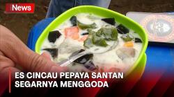 Kenikmatan Es Cincau Pepaya Santan, Sajian Menyegarkan Pelepas Dahaga