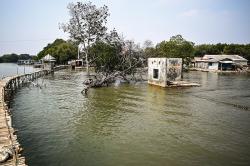 Potret Bangunan Tenggelam akibat Permukaan Air Laut Naik di Kronjo Tangerang