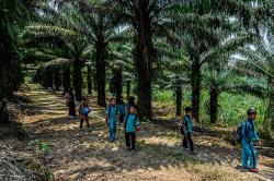 Potret Pelajar di Lebak Jalan Kaki 2 Km Lewati Hutan karena Infrastruktur Rusak
