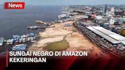 Manaus, Kota Terbesar dan Ibu Kota Amazonas Terkena Dampak Kekeringan
