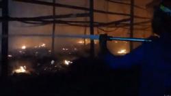 Kandang Ayam di Probolinggo Ludes Terbakar, Ribuan Ternak Mati Terpanggang<