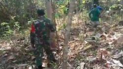 Warga Tulungagung Hilang Tersesat di Gunung, Pencarian Masuki Hari Kedua<