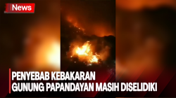 Hutan di Gunung Papandayan Terbakar, Penyebab Kebakaran masih Diselidiki