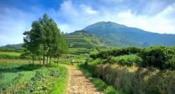 3 Jalur Alternatif ke Magelang yang Jarang Diketahui, Tapi Wajib Dicoba Traveler!<
