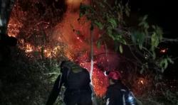 Gunung Arjuno Kembali Terbakar, Titik Api Muncul di Blok Garotan Ledug<