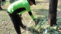 Sejumlah Taman Jadi Tempat Pesta Miras, Ini Langkah Pemkot Jakpus
