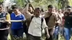 Terkena Jeratan Babi di Ladang Warga, Harimau Sumatera Dievakuasi ke Suaka Margasatwa Barumun