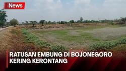 Fenomena El-Nino, Ratusan Embung di Bojonegoro Kering Kerontang
