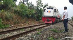 4 Kereta Api Tertahan gegara Pohon Tumbang di Jalur Pelintasan Kota Cimahi