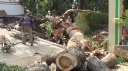 Hujan Deras Disertai Angin Kencang Terjang 2 Desa di Kuningan, Sejumlah Rumah Rusak<