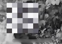 Viral Bocah Tunawicara di OKI Di-bully dan Disuruh Ngelem