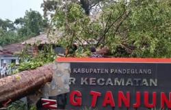 Hujan Deras Disertai Angin Kencang Terjang Pandeglang, 1 Tewas Tertimpa Pohon