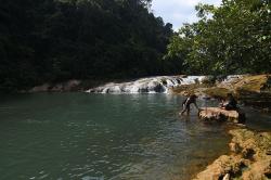 Surga Kecil di Morowali Utara Menyajikan Sungai Jernih dan Ragam Kupu-Kupu