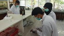 5 Mahasiswa UB Sukses Bikin Baterai Mobil Listrik Ramah Lingkungan dari Limbah Cangkang Tiram<
