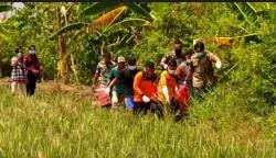  Penemuan Mayat Pria Membusuk di Persawahan Gegerkan Warga Weleri Kendal