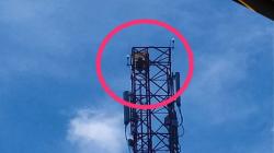 Heboh Nenek-Nenek Panjat Tower Setinggi 72 Meter di Aceh Timur, Butuh 7 Jam Evakuasi<