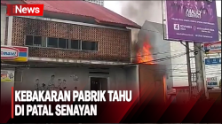 Diduga Tabung Gas 50 Kg Bocor, Pabrik Tahu di Patal Senayan Terbakar